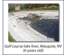 Torn Plastic Liner Solution